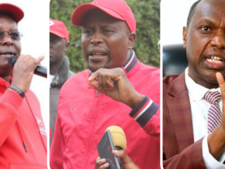 The Fallen Giants Of Mt. Kenya