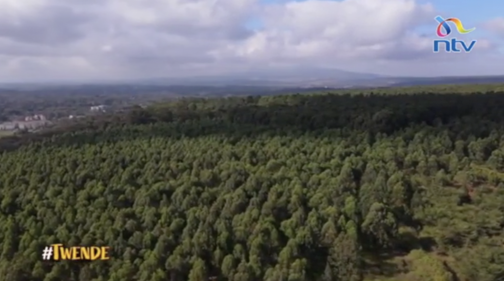 ntv-kenya-twende-thogoto