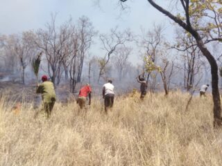 Section of Meru National Park on fire