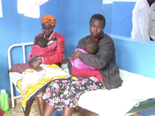 Kuresoi North: Two children in hospital after eating chameleons