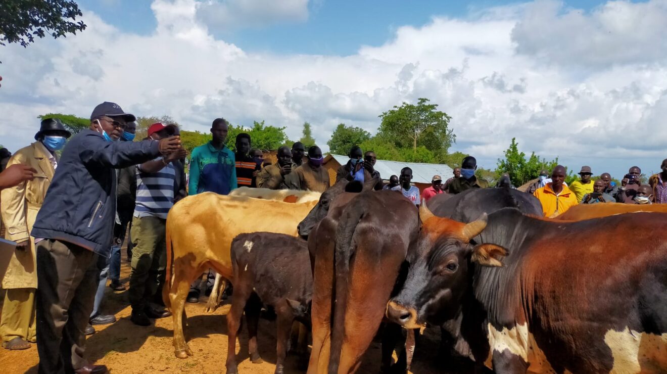 NTV Kenya Cattle raids resurface along the KenyaUganda border