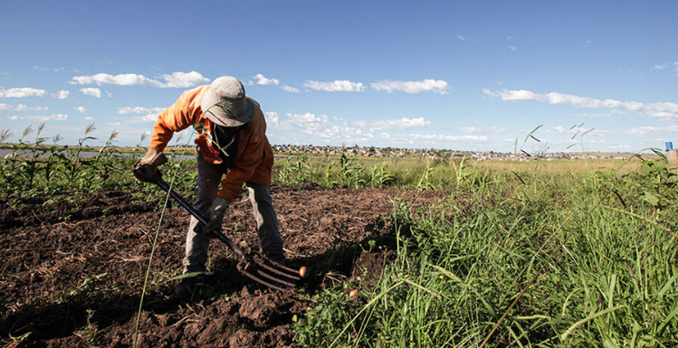 Farmers Raking NTV Kenya: (VIDEO)Naivasha farmers reclaim 1,004-acre farm after ...