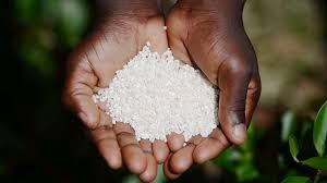 Revealed: How State officials okayed the sale of counterfeit ‘Pearl’ rice