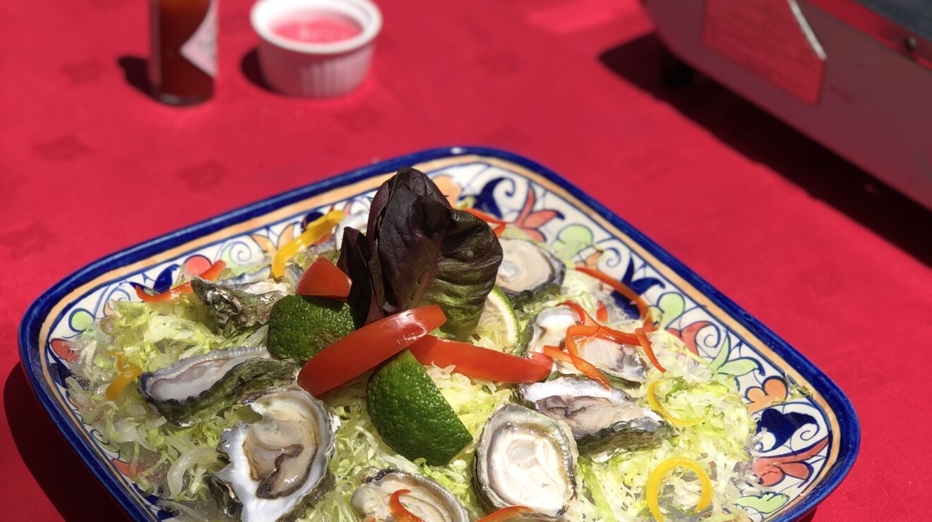 Pishi NTV Kenya: Fresh oysters & ginger chilli crab | Pishi Bomba