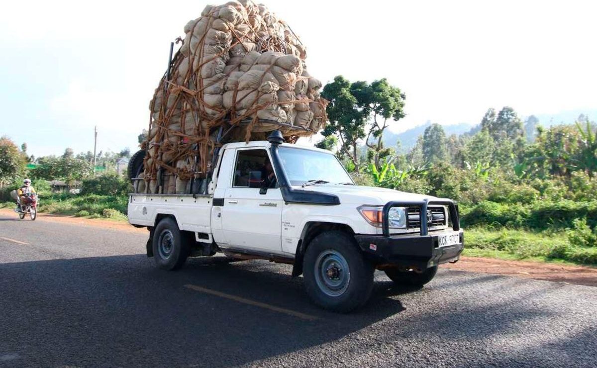NTV Kenya: Meru’s deadly highway: The growing threat of reckless miraa ...