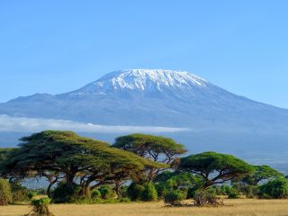 Kenya, Burundi leading sources of visitors to Tanzania