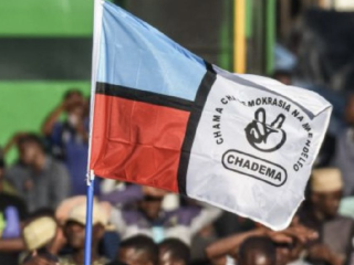 Senior Tanzanian opposition leaders released on bail, party says