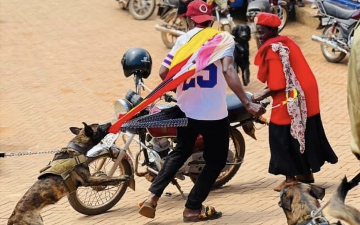 Outrage as Uganda police unleash dogs at opposition rallies
