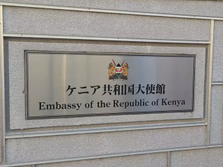 Future ambassadors must be diplomats, new Bill proposes