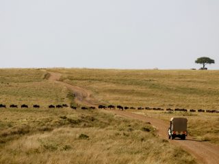 Activist drops lawsuit challenging construction of luxury Maasai Mara camp
