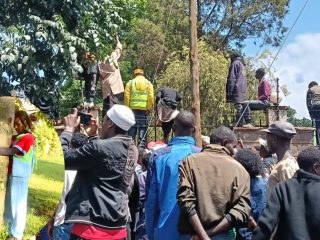 Crowds gather to cheer Truphena Muthoni on day 3 of longest tree-hugging record attempt