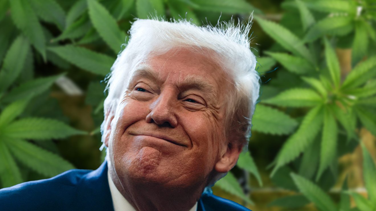 US to loosen marijuana rules in major shift for $47 billion industry