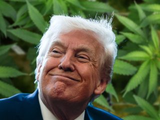 Trump signs executive order to reclassify marijuana as less dangerous drug