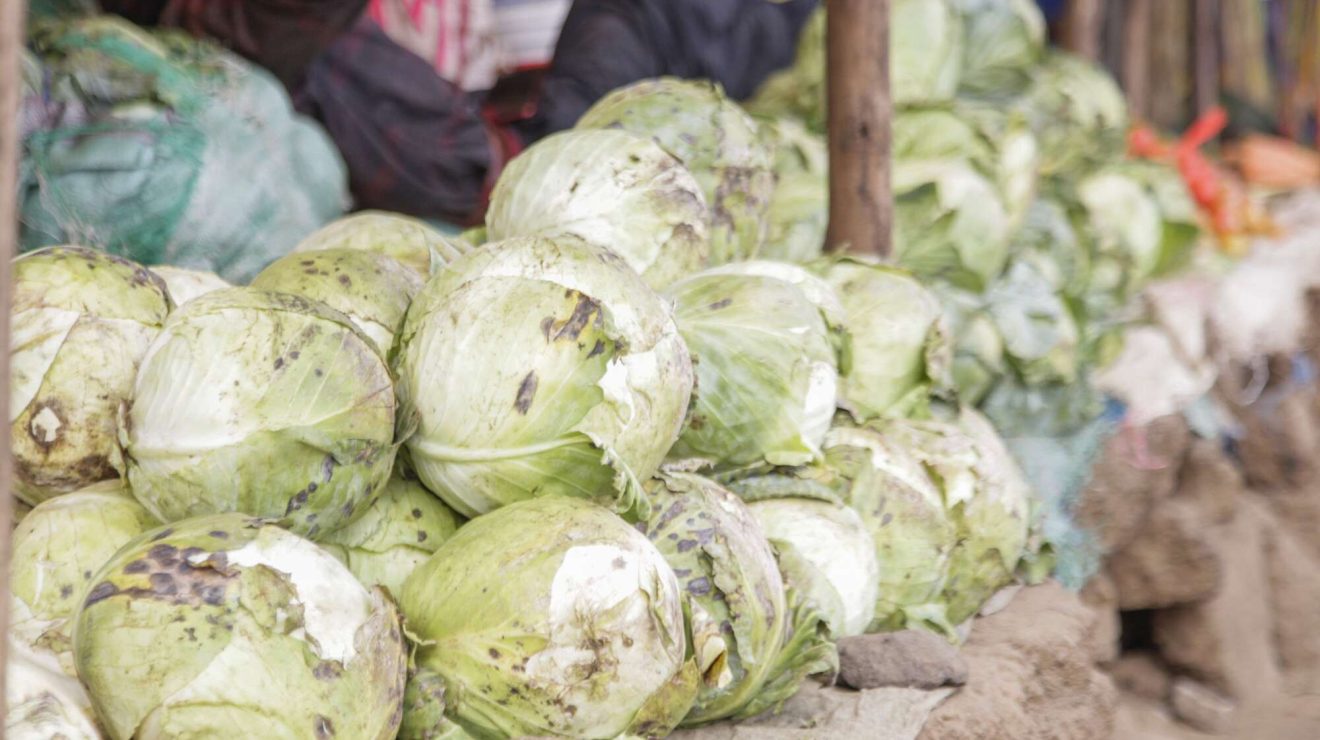 NTV Kenya: Cabbage prices soar as January staple becomes an unexpected ...