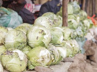 Cabbage prices soar as January staple becomes an unexpected luxury