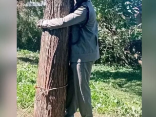 Drama as tree-hugging OCS whisked away by police colleagues