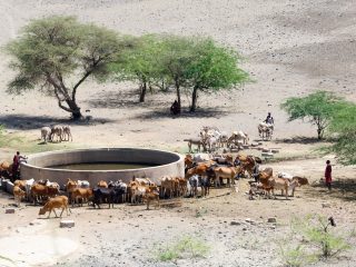 Hunger batters parts of Kenya after failed rainy season