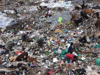 Dandora dumpsite waste pickers awarded Sh25.8m by court