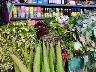 KEMRI says Kenya could release its first traditional medicine products by 2030