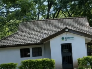 State lists prime Cytonn properties up for auction to repay Sh11bn to investors