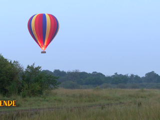 Twende: Experiencing the magical hot air balloon flight over Maasai Mara Game Reserve
