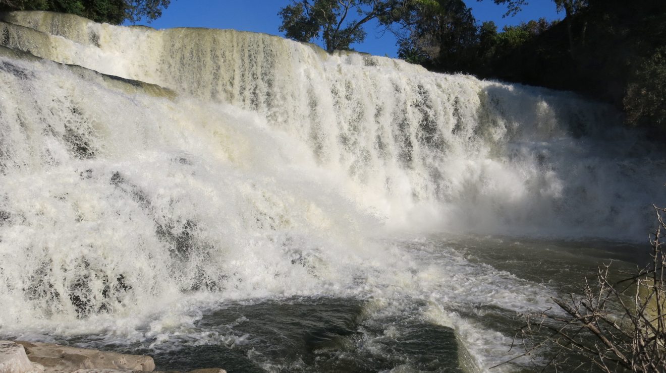 Thousands of small fish defy gravity to climb Congo waterfall