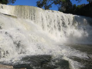 Thousands of small fish defy gravity to climb Congo waterfall