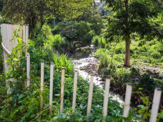 State House wall encroaching on riparian land set for demolition