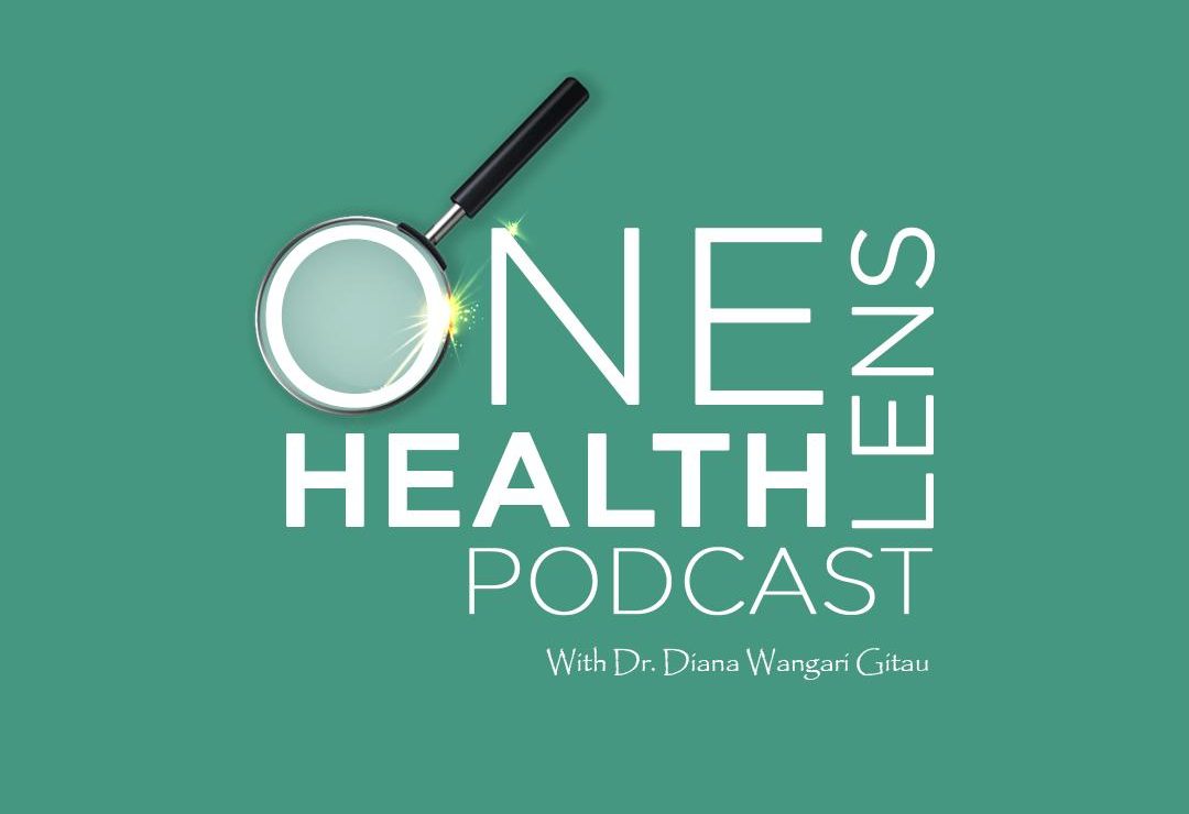 Cold Kills: Why Keeping a Baby Warm Can Mean Life or Death | One Health Lens Podcast
