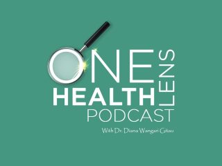 From County Innovation to National Policy: What’s Slowing Maternal Health Progress?