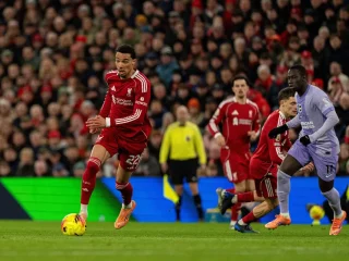 E393: Liverpool Loss