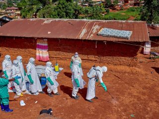 Ebola recoveries bring signs of hope in DRC