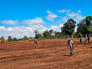 Meru court stops construction of State lodge in Imenti Forest