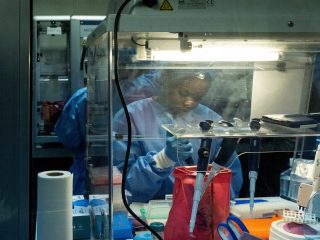 Trial for Bundibugyo Ebola treatment starts in DRC, WHO say