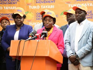 ODM eyes more slots in Ruto’s Cabinet after court gender ruling