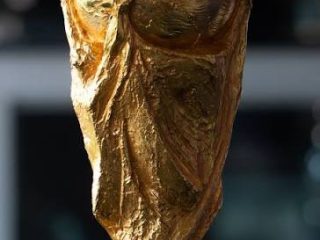 E424: World Cup Favourite?