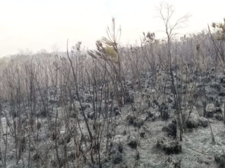 Fire ravages section of Aberdare Forest
