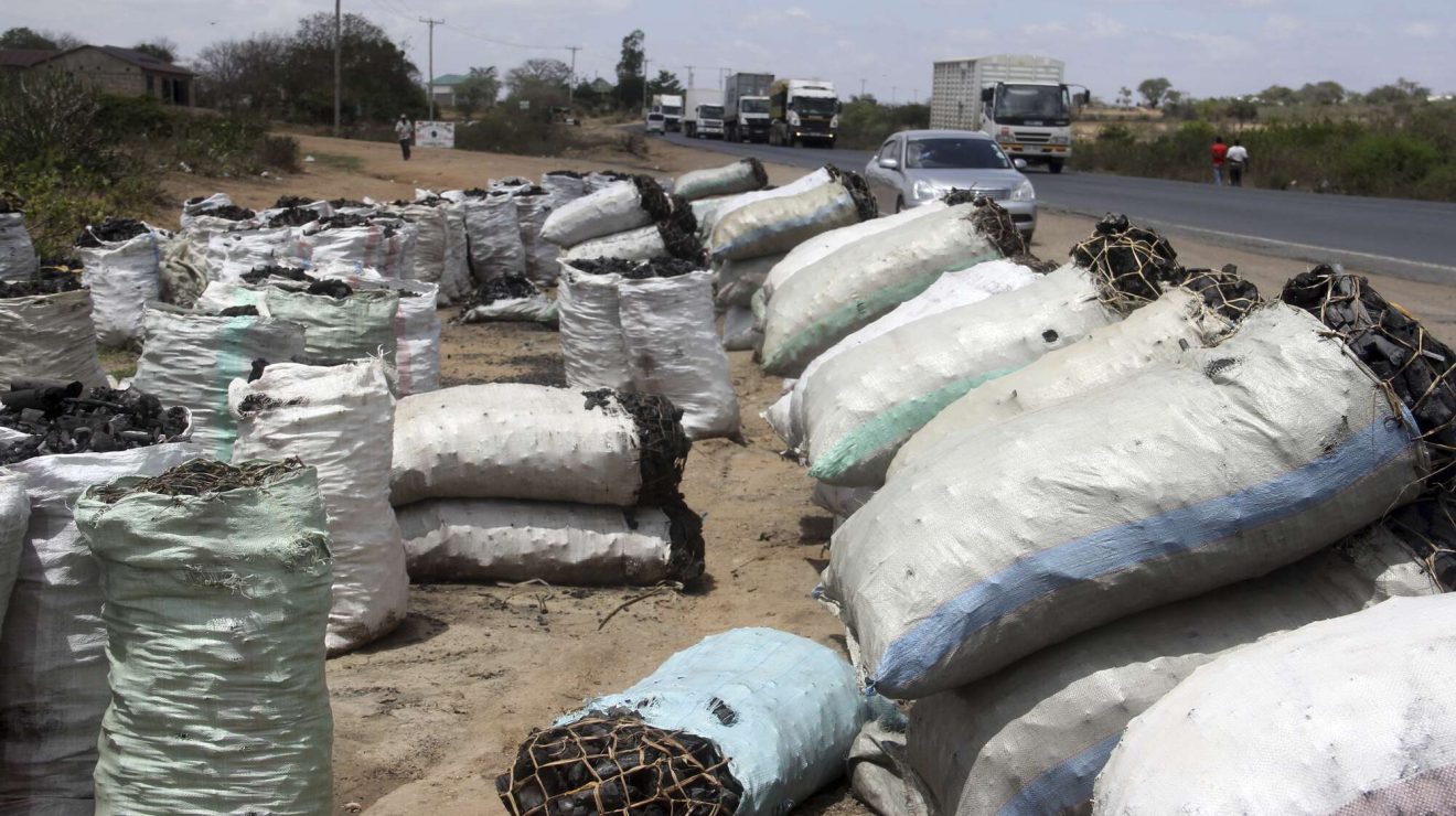 NTV Kenya: Charcoal prices hit 78-month high