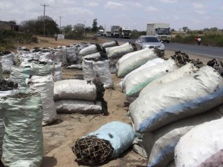 Charcoal prices hit 78-month high