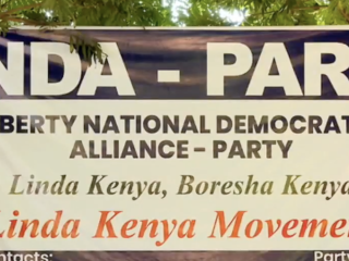 Battle for ‘Linda’ name rages as tribunal issues key ruling