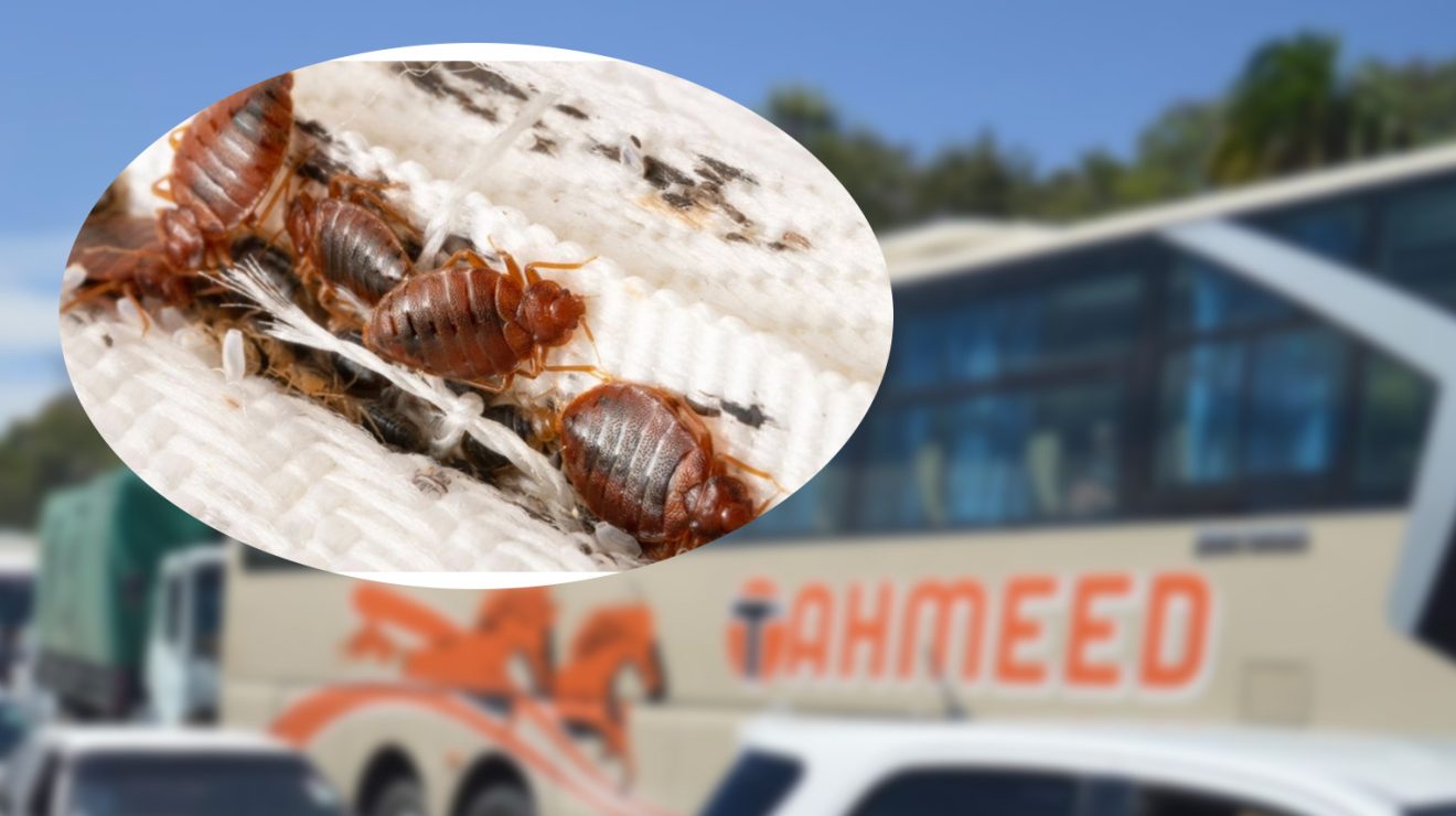 NTV Kenya: Passengers forced to abandon Tahmeed bus after bedbug infestation
