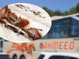 Passengers forced to abandon Tahmeed bus after bedbug infestation