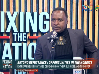 Beyond Remittance: Delving Into The Business Opportunities in The Nordic Countries | Evans Odhiambo