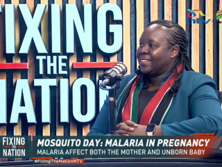 Mosquito Day: Malaria in pregnancy